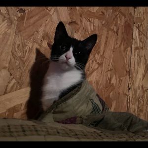 Meet your Posher, Jackie